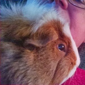 Meet your Posher, Anniesprite